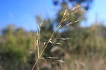 <div style='float: right;'>[2011:04:23 16:21:29] [IMG_1089.JPG]</div>