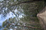 <div style='float: right;'>[2011:07:15 11:16:30] [IMG_1256.JPG]</div>