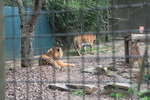 <div style='float: right;'>[2011:07:16 11:41:26] [IMG_1322.JPG]</div>