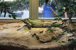 <div style='float: right;'>[2011:07:16 12:00:09] [IMG_1338.JPG]</div>