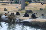 <div style='float: right;'>[2011:07:16 12:54:16] [IMG_1371.JPG]</div>