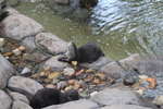 <div style='float: right;'>[2011:07:16 13:14:39] [IMG_1375.JPG]</div>