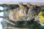 <div style='float: right;'>[2011:07:16 13:20:54] [IMG_1379.JPG]</div>