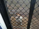 <div style='float: right;'>[2011:09:24 07:55:18] [DSCF1721.JPG]</div>