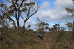 <div style='float: right;'>[2011:09:10 11:22:33] [IMG_1413.JPG]</div>