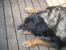 <div style='float: right;'>[2011:09:28 08:42:37] [DSCF1809.JPG]</div>