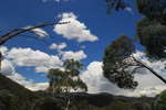 <div style='float: right;'>[2012:01:11 12:17:09] [IMG_1684.JPG]</div>