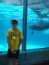 Jack has a new facebook friend! - Jack has a new facebook friend!<div style='float: right;'>[2012:04:13 15:18:30] [P1000723.JPG]</div>