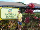 ALL ABOARD! The Pineapple Express - ALL ABOARD! The Pineapple Express<div style='float: right;'>[2012:04:16 14:37:16] [P1000885.JPG]</div>