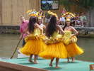 The Tahitians - The Tahitians<div style='float: right;'>[2012:04:18 15:43:09] [P1010041.JPG]</div>