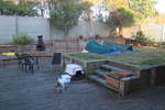 <div style='float: right;'>[2012:10:01 06:30:16] [Swags.JPG]</div>