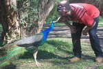 <div style='float: right;'>[2012:09:23 08:50:12] [IMG_2414.JPG]</div>