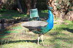 <div style='float: right;'>[2012:09:23 08:52:15] [IMG_2416.JPG]</div>