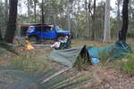 <div style='float: right;'>[2012:12:30 17:02:15] [IMG_2930.JPG]</div>