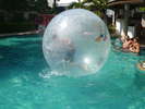<div style='float: right;'>[2013:01:16 15:09:00] [P1010517.JPG]</div>