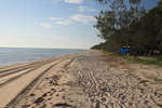 Moreton Island - The busy road outside our camp site<div style='float: right;'>[2013:04:23 16:27:40] [MORETON_23.jpg]</div>