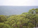 FJCC Monkey Gum - FJCC trip along the infamous Monkey Gum trail near Yalwal<div style='float: right;'>[2014:02:23 13:43:56] [Monkey-Gum-22.jpg]</div>