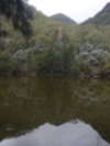 <div style='float: right;'>[2014:03:02 10:01:40] [P1030634.jpg]</div>