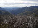 Kanangra-Boyd - Kanangra-Boyd National Park in July with snow<div style='float: right;'>[2014:07:19 12:17:43] [KANANGRA-20140719-21.jpg]</div>