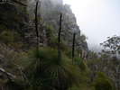 Bungonia Hiking - Weekend of pain in Bungonia Gorge<div style='float: right;'>[2014:08:16 09:34:08] [BUNGONIA-20140816-08.jpg]</div>