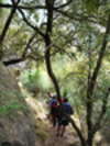 Bungonia Hiking - Weekend of pain in Bungonia Gorge<div style='float: right;'>[2014:08:16 09:55:11] [BUNGONIA-20140816-09.jpg]</div>