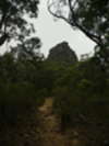 Budawangs 2015 - Wet weekend in the Budawangs<div style='float: right;'>[2015:03:20 11:12:17] [BUDAS-20150320-023.jpg]</div>