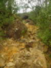 Budawangs 2015 - Wet weekend in the Budawangs<div style='float: right;'>[2015:03:20 13:09:54] [BUDAS-20150320-035.jpg]</div>