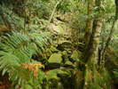 Budawangs 2015 - Wet weekend in the Budawangs<div style='float: right;'>[2015:03:21 09:08:23] [BUDAS-20150321-050.jpg]</div>
