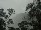 Budawangs 2015 - Wet weekend in the Budawangs<div style='float: right;'>[2015:03:22 09:00:21] [BUDAS-20150322-208.jpg]</div>