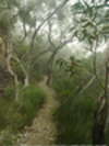 Budawangs 2015 - Wet weekend in the Budawangs<div style='float: right;'>[2015:03:22 10:17:04] [BUDAS-20150322-229.jpg]</div>