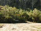 Coxs River to Narrow Neck - Hard slog along the river and up Carlon Head<div style='float: right;'>[2015:06:08 11:13:21] [COXS-20150608-38.jpg]</div>