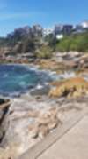 <div style='float: right;'>[03-Rocky.jpg]</div>
