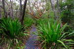 <div style='float: right;'>[2020:01:07 09:39:47] [DSCF1994.JPG]</div>