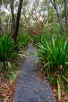 <div style='float: right;'>[2020:01:07 09:39:52] [DSCF1995.JPG]</div>