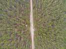 created by dji camera - created by dji camera<div style='float: right;'>[2020:06:07 09:11:27] [DJI_0067.JPG]</div>