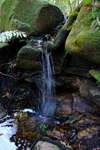 <div style='float: right;'>[2020:06:03 10:18:56] [DSCF2097.JPG]</div>
