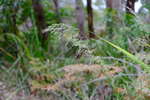 <div style='float: right;'>[2020:11:30 11:06:46] [DSCF2341.JPG]</div>