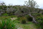 <div style='float: right;'>[2020:11:30 11:13:14] [DSCF2353.JPG]</div>