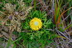 <div style='float: right;'>[2020:11:30 11:16:49] [DSCF2359.JPG]</div>