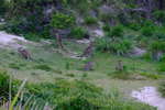 <div style='float: right;'>[2020:12:01 19:04:46] [DSCF2428.JPG]</div>