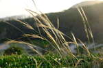 <div style='float: right;'>[2020:12:01 19:08:14] [DSCF2440.JPG]</div>