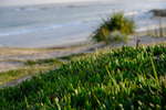 <div style='float: right;'>[2020:12:01 19:08:33] [DSCF2443.JPG]</div>