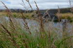 <div style='float: right;'>[2020:12:23 11:35:36] [DSCF2638.JPG]</div>