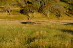 <div style='float: right;'>[2020:12:23 19:42:40] [DSCF3969.JPG]</div>