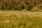 <div style='float: right;'>[2020:12:23 19:43:28] [DSCF3973.JPG]</div>