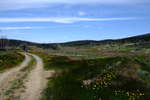 <div style='float: right;'>[2020:12:27 12:49:00] [DSCF4115.JPG]</div>