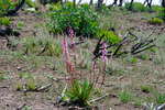 <div style='float: right;'>[2020:12:27 13:00:25] [DSCF4124.JPG]</div>