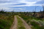 <div style='float: right;'>[2020:12:27 13:01:00] [DSCF4126.JPG]</div>