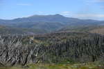 <div style='float: right;'>[2020:12:27 13:03:03] [DSCF4128.JPG]</div>