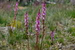 <div style='float: right;'>[2020:12:27 13:07:50] [DSCF4133.JPG]</div>